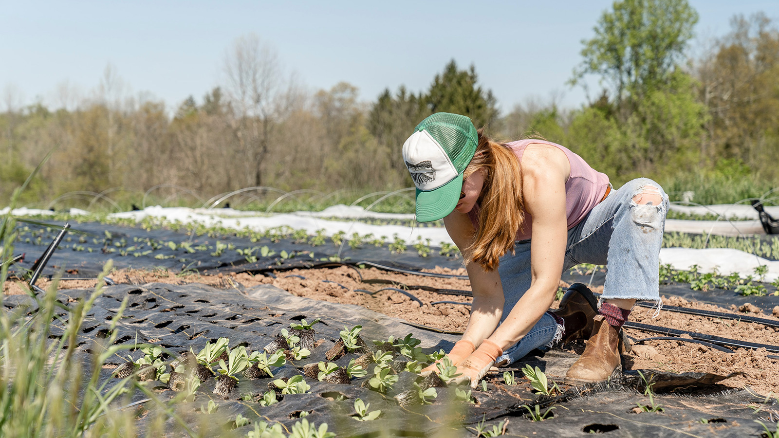 These Regenerative Agriculture Trials Prove That Farming Can Improve 