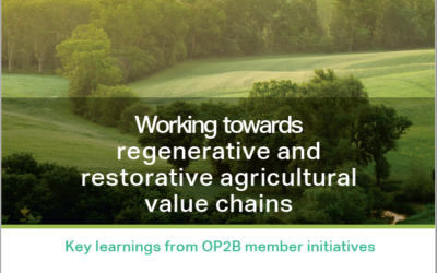 Key learnings from OP2B member initiatives